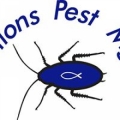 Solutions Pest Management