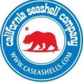 California Seashell Co