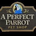 A Perfect Parrot Pet Shop