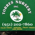 Torres Nursery Inc