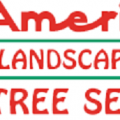 American Landscaping & Tree Service