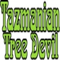 Tazmanian Tree Devil LLC