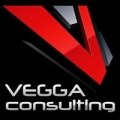Vegga Consulting