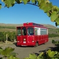 Fruit of The Vine Tours