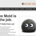 Bye Bye Mold-Toxic Consulting