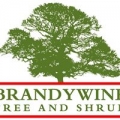 Brandywine Tree & Shrub