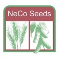 Neco Seed Farms Inc