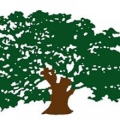 Lewis Tree Service