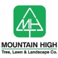Mountain High Tree