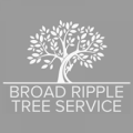 Broad Ripple Tree Service Inc