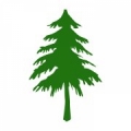 Emerald Tree Service