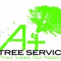 A Plus Tree Services