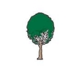Tree Life 1