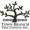 Town Branch Tree Experts