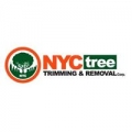 NYC Tree Trimming