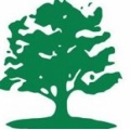 Wolf Tree Experts Inc